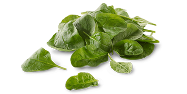 Peas Thumbnail